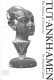 Tutankhamun : the politics of discovery /