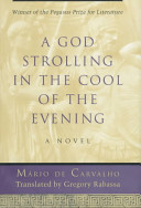 A god strolling in the cool of the evening : a novel /