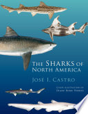 The sharks of North America /