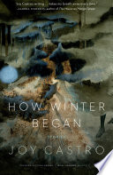 How winter began : stories /