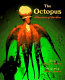 The octopus : phantom of the sea /