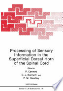 Processing of Sensory Information in the Superficial Dorsal Horn of the Spinal Cord /