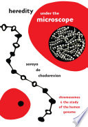 Heredity under the microscope : chromosomes and the study of the human genome /