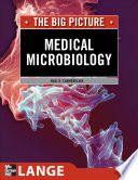 The big picture : medical microbiology /