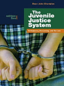 The juvenile justice system : delinquency, processing, and the law /