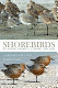 Shorebirds of North America, Europe, and Asia : a photographic guide /