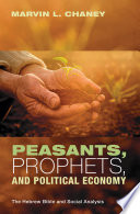 Peasants, prophets, & political economy : the Hebrew Bible in social perspective /