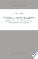 The brain from 25,000 feet : high level explorations of brain complexity, perception, induction and vagueness /