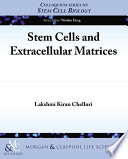 Stem cells and extracellular matrices /