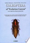 Coleoptera of "Evolution Canyon," Lower Nahal Oren, Mount Carmel, Israel /