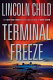Terminal freeze : a novel /