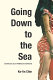 Going down to the sea : Chinese sex workers abroad / Ko-lin Chin.