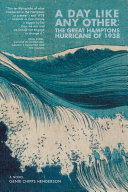 A day like any other : the great Hamptons hurricane of 1938 : a novel /