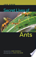 Secret lives of ants /
