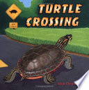 Turtle crossing /