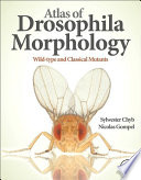 Atlas of drosophila morphology : wild-type and classical mutants /