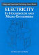 Electricity in households and micro-enterprises /