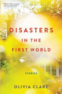 Disasters in the first world : stories /