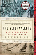 Sleepwalkers : how Europe went to war in 1914 /