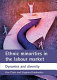 Ethnic minorities in the labour market : dynamics and diversity /