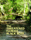 The threatened Florida black bear /