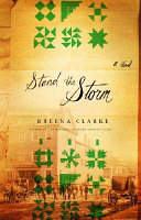 Stand the storm : a novel /