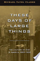 These days of large things : the culture of size in America, 1865-1930 /