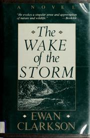 The wake of the storm /