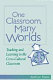 One classroom, many worlds : teaching and learning in the cross-cultural classroom /