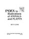 Index to illustrations of animals and plants /