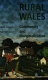 Rural Wales : community and marginalization /