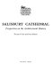Salisbury Cathedral : perspectives on the architectural history /