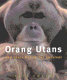 Orangutans and their battle for survival /