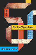 Book of numbers : a novel /