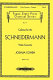 Cadenza for the Schneidermann violin concerto : a novel /