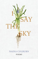 I say the sky : poems /