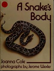 A snake's body /