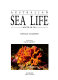 Australian sea life south of 30⁰S /