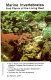 Marine invertebrates and plants of the living reef /