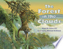 Forest in the clouds /
