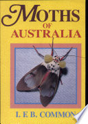 Moths of Australia /