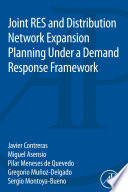 Joint RES and distribution network expansion planning under a demand response framework /