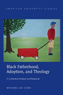 Black fatherhood, adoption, and theology : a contextual analysis and response /