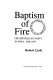 Baptism of fire : the Republican Party in Iowa, 1838-1878 /