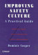 Improving safety culture : a practical guide /