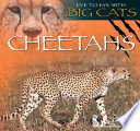 Cheetahs /