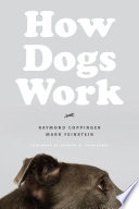 How dogs work /