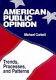 American public opinion : trends, processes, and patterns /