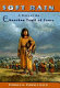 Soft Rain : a story of the Cherokee Trail of Tears /