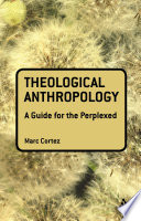 Theological anthropology : a guide for the perplexed /